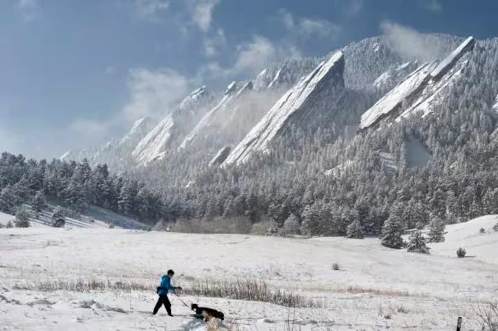 Person and dog crossing a snowy meadow beneath the snow-covered Flatirons